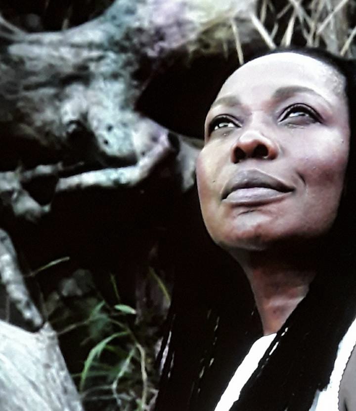 Voltar não é retroceder / Terezinha&nbsp;Malaquias